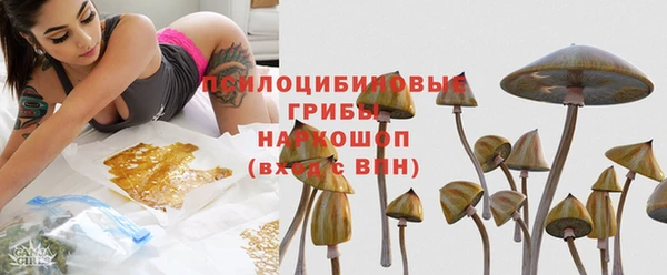 крисы Арсеньев
