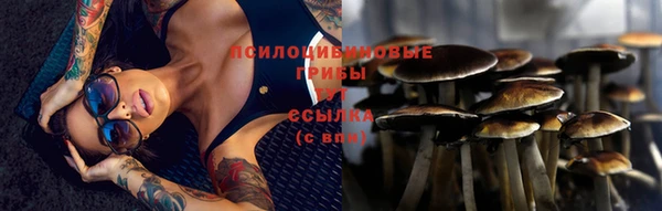 СК Аркадак
