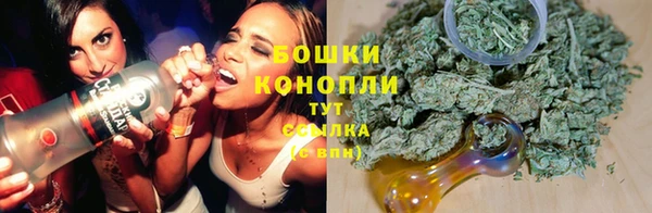 СК Аркадак